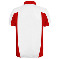 Custom Polo Shirt - Paul (PS33)