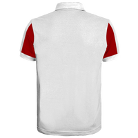 Custom Polo Shirt - Paul (PS15)