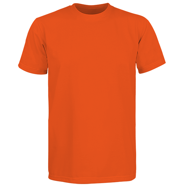 Target Premium Round Neck Shirt