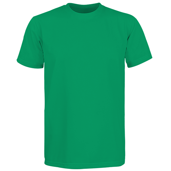 Gildan Premium Round Neck Shirt